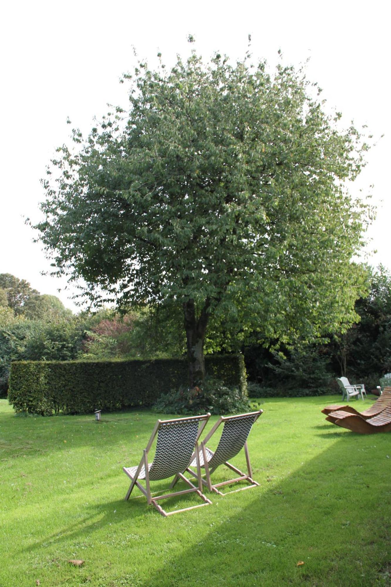 Familiehuis De Betuwe Met Prive Kunstgras Tennisbaan En Sauna Villa Erichem Exterior photo